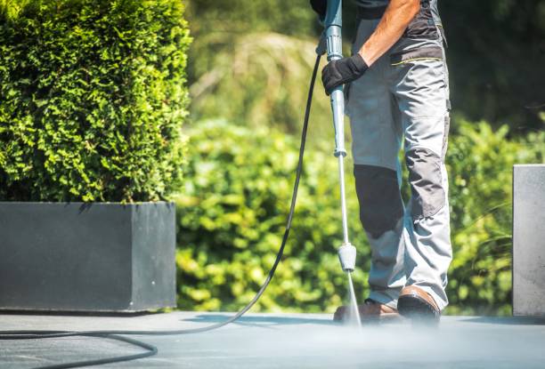 Best Concrete Sealing  in Roanoke, IN